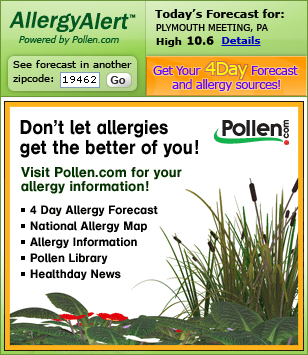 One Day Allergy Forecast (Embedded)
